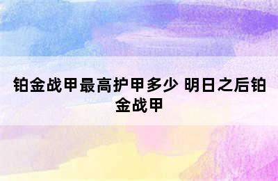 铂金战甲最高护甲多少 明日之后铂金战甲